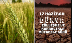 Şanlıurfalı vekil Eyyüpoğlu’ndan 17 Haziran paylaşımı