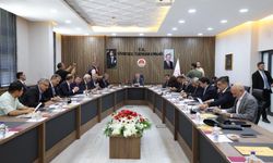 TBMM Komisyonu Şanlıurfa’da İncelemelere Başladı