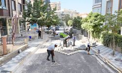 Çankaya Mahallesi Baştan Sona Değişiyor! Karaköprü'de Prestij Sokak Hamlesi