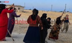 Şanlıurfa'da Arazi Anlaşmazlığı Pamuk Tarlasında İki Aile Birbirine Girdi, 8 Yaralı, 6 Gözaltı
