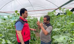 Şanlıurfa’da göçebe dönem bitti: Sulu tarım umut kapısı oldu