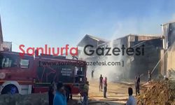 Şanlıurfa'da besi çiftliğinde yangın: Ekiplerin müdahalesi sürüyor, olay yerinden ilk görüntüler