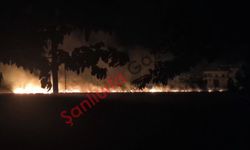 Şanlıurfa'da Anız Yangını 40 Dönüm Tarım Arazisini Küle Çevirdi
