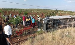 Şanlıurfa'da Tarım İşçilerini Taşıyan Minibüs Devrildi: 27 Yaralıdan 18'i Taburcu Edildi