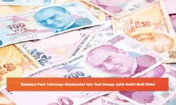 Bankaya Para Yatırmayı Düşünenler İçin Yeni Hesap: Aylık Getiri Belli Oldu!