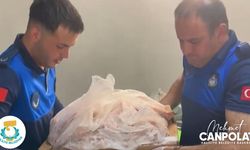 Şanlıurfa'da ruhsatsız iş yeri zabıtadan kaçamadı: Kilolarca bozuk et çöpü boyladı!