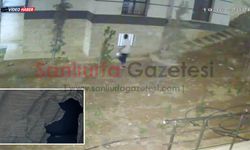 Şanlıurfa'da Oto Hırsızlığı Kamerada: Park Halindeki Aracın Camını Kırıp Değerli Eşyaları Çaldılar