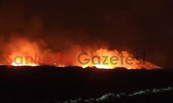 Şanlıurfa'da Sınır Hattındaki Mayınlı Arazide Yangın Paniği