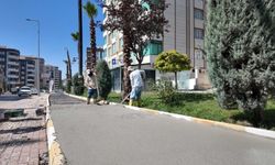 Karaköprü'de Pedallar Dönmeye Hazırlanıyor! Yeni Bisiklet Yollarında Sona Doğru