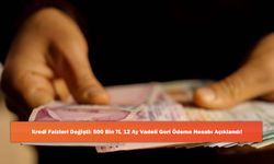 Kredi Faizleri Değişti: 500 Bin TL 12 Ay Vadeli Geri Ödeme Hesabı Açıklandı!
