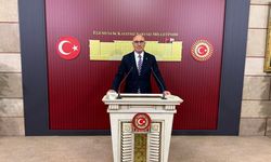 Şanlıurfa CHP Milletvekili Tanal, kürsüden isyan etti; “Neden Şanlıurfa’da 400 bin lira!”