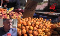 Şanlıurfalıların gözdesi Sarıkız tezgâhlarda: Fiyatı sevindirdi