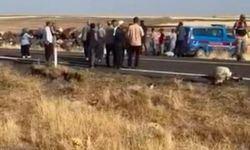 Şanlıurfa Siverek'te Feci Kaza: İşçi Minibüsü 25 Koyunu Telef Etti