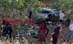 Şanlıurfa'da Otomobil Fıstık Tarlasına Devrildi: 3 Kadın Yaralandı
