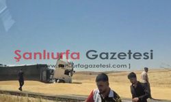 Şanlıurfa'da buğday yüklü kamyon devrildi