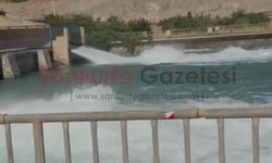 Şanlıurfa'da Sulama Kanalına Atlayan Kişi Kurtarıldı