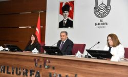 Vali Hasan Şıldak'tan Kamu Yatırımları İçin Koordinasyon Vurgusu!