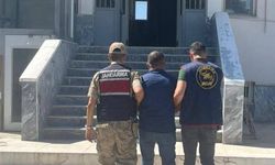 Şanlıurfa Birecik’te firari mesaisi: 1 gözaltı!