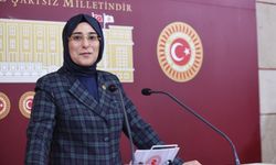 Şanlıurfa Milletvekili Yazmacı Duyurdu! Viranşehir'e Yeni Bölüm Geliyor