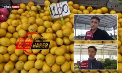 Şanlıurfa'da Limon Cep Yakıyor: Vatandaş Kiloyla Değil, Taneyle Alıyor