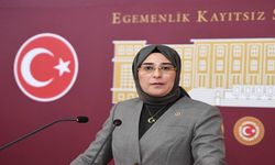 Milletvekili Yazmacı Duyurdu: Ceylanpınar'a Halk Kütüphanesi Müjdesi!