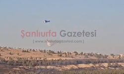 Şanlıurfa GAP Vadisi'ndeki orman yangınına helikopter destekli müdahale