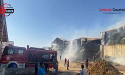 Şanlıurfa'da besi çiftliğinde yangın: Ekiplerin müdahalesi sürüyor, olay yerinden ilk görüntüler