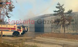 Şanlıurfa’da Namet Besi Tesisindeki Yangına TOMA'lar Müdahale Etti