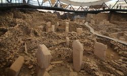 Şanlıurfa'da tarih baştan yazılıyor: Sayburç ve Karahantepe'de çıkanlar Göbeklitepe ezberlerini bozduracak