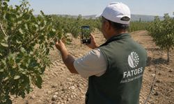 Hastalık ve rekolte kaybı tarih olacak: Şanlıurfa üreticiye teknolojik kalkan