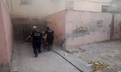 Alevlerin Arasında Kaldılar! Şanlıurfa’da 2 Yavru Kedinin Kurtarılma Anı