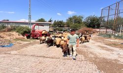 Hem ailesi hem de işi oldu: Öksüz Abdurrahman'ın gençlere ilham olacak yaşam mücadelesi