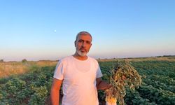 Şanlıurfa’dan Almanya’ya götürüldü: Ata geleneği gurbet dinlemiyor!