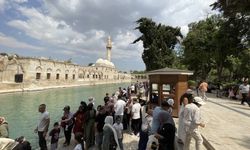 Şanlıurfa’da Hafta Sonu Yoğunluğu: Balıklıgöl Ziyaretçilerle Doldu
