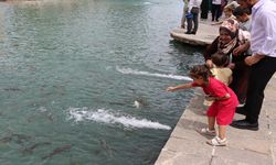 Şanlıurfa'da ziyaretçi yoğunluğu yaşanıyor; Serin havayı fırsat bilenler turistler, turistik alanlara akın etti