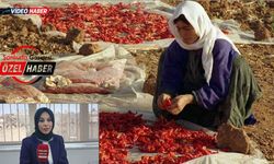 Şanlıurfa’da Kadınların Yaşadığı Sorunlar Ortaya Çıktı! Uzman Psikolog Anlattı