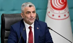 Türkiye'nin Ticaretinde Yeni Rekor: Habur'dan 2 Bin 454 TIR