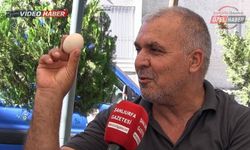 Yumurta alırken dikkat! Şanlıurfa’da uzmanından “Bozuk yumurta” uyarısı
