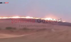 Şanlıurfa'da Anız Yangını Paniği