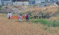 Şanlıurfa’da boş arazide hareketsiz bulundu: Ölümü araştırılıyor