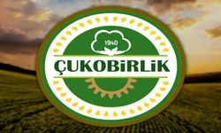 Zarar belli oldu, Şanlıurfa’da üretici sandığa gidiyor: Çukobirlik’te kartlar yeniden dağıtılacak