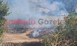 Şanlıurfa'da Parktaki Otluk Alanda Yangın Paniği