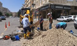 Şanlıurfa'nın o mahallesi susuz kaldı; Muhtar uyarıları sıraladı