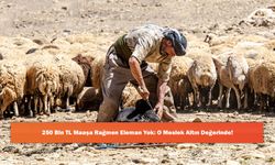 250 Bin TL Maaşa Rağmen Eleman Yok: O Meslek Altın Değerinde!