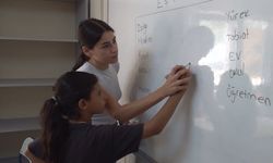 Fındıklıklarda çocuk işçilik önleniyor: Şanlıurfalı aileler fındık ağaçlarında, çocukları sınıflarda