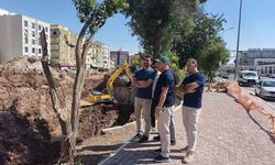DSİ duyurdu: Şanlıurfa’da taşkın riskine karşı stratejik bölgelerde çalışmalar başladı