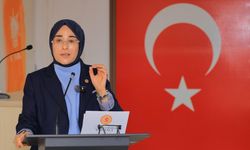 Şanlıurfa’da Viranşehir’e Sağlık Ve Ulaşım Hamlesi; Yatırımlar Tek Tek Açıklandı