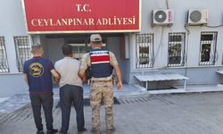 Şanlıurfa'da firari şahsa JASAT operasyonu!