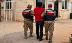Şanlıurfa'da hücre operasyonu: Operasyonların detayı belli oldu!