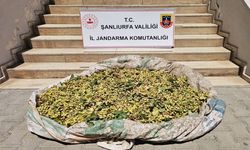 Şanlıurfa’da Jandarma ve JASAT’tan ortak operasyon: 4 gözaltı